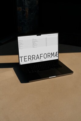 studioMario