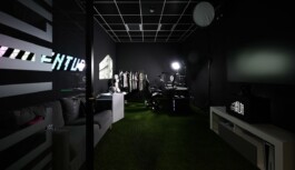 Studio Mario