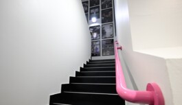 studioMario